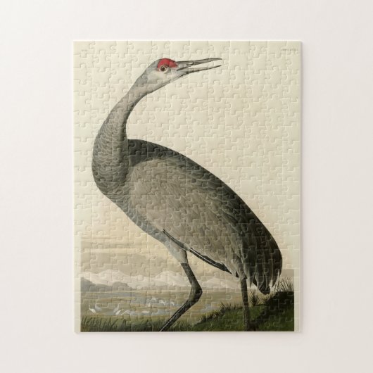 Sandhill Crane uit Audubon's Birds of America Legpuzzel (Verticaal)