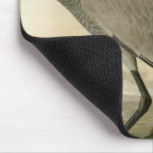 Sandhill Crane uit Audubon's Birds of America Muismat (Hoek)