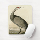 Sandhill Crane uit Audubon's Birds of America Muismat (Met muis)