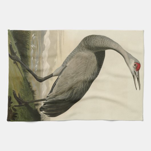 Sandhill Crane uit Audubon's Birds of America Theedoek (Horizontaal)