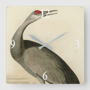 Sandhill Crane uit Audubon's Birds of America Vierkante Klok