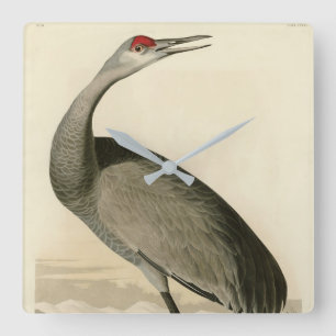 Sandhill Crane uit Audubon's Birds of America Vierkante Klok