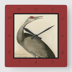 Sandhill Crane uit Audubon's Birds of America Vierkante Klok