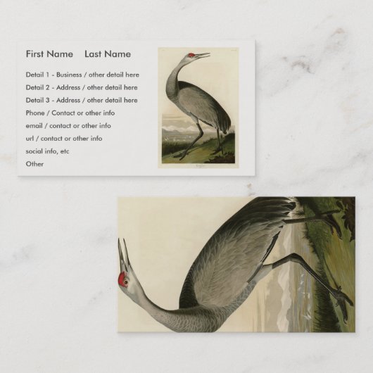 Sandhill Crane uit Audubon's Birds of America Visitekaartje (Voorkant / Achterkant)