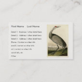 Sandhill Crane uit Audubon's Birds of America Visitekaartje (Voorkant)