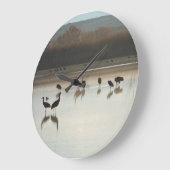 Sandhill Crane Vogels Wilde Dieren Klok (Hoek)