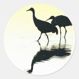 Sandhill Crane Vogels Wilde Levende Dieren Ronde Sticker