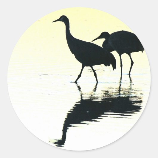 Sandhill Crane Vogels Wilde Levende Dieren Ronde Sticker (Voorkant)