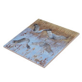 Sandhill Crane Vogels Wilde Levende Dieren Tegeltje (Zijkant)