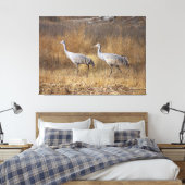 Sandhill Crane Vogels Wildlife Dieren Fotografie Canvas Afdruk (Insitu (Slaapkamer))