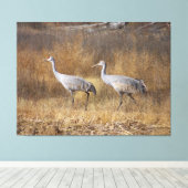 Sandhill Crane Vogels Wildlife Dieren Fotografie Canvas Afdruk (Insitu (Houten vloer))