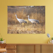 Sandhill Crane Vogels Wildlife Dieren Fotografie Canvas Afdruk (Insitu (Woonkamer))
