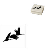 Sandhill Crane Vogels Wildlife Dieren Hout Stempel (Gestempeld)