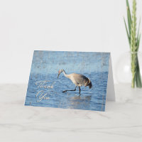 Sandhill Crane Wading Foto Dank u kaart