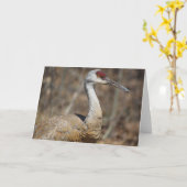Sandhill Crane Wenskaart! Kaart (Gele Bloem)
