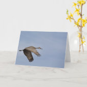 Sandhill Crane Wenskaart Kaart (Gele Bloem)