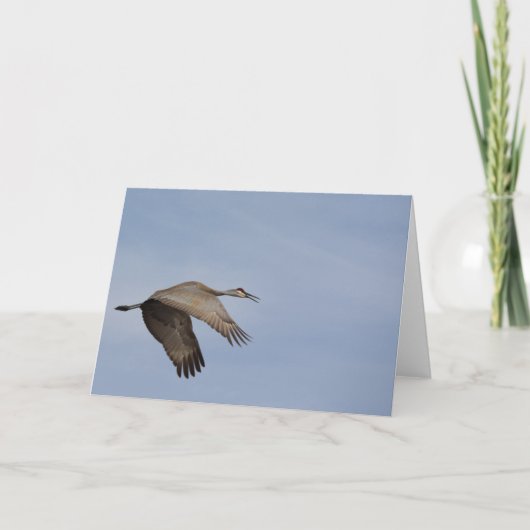 Sandhill Crane Wenskaart Kaart (Voorkant)