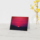 Sandhill Cranes at Sunset notecard 1 Nebraska 2018 Kaart (Gele Bloem)