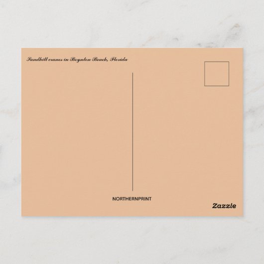 Sandhill Cranes bij Boynton Beach Florida Briefkaart (Achterkant)