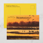 Sandhill Cranes bij Platte River Central Nebraska Briefkaart (Voorkant / Achterkant)