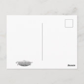 SANDHILL CRANES BRIEFKAART (Achterkant)