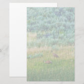 Sandhill Cranes Briefpapier (Voorkant / Achterkant)