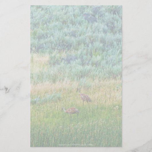 Sandhill Cranes Briefpapier (Voorkant)