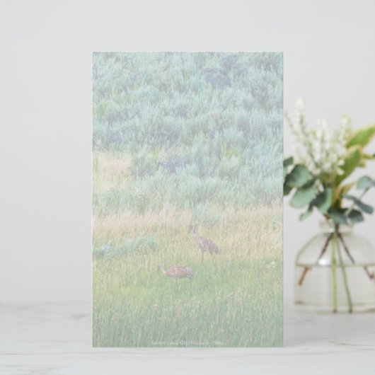 Sandhill Cranes Briefpapier (Staand voorkant)