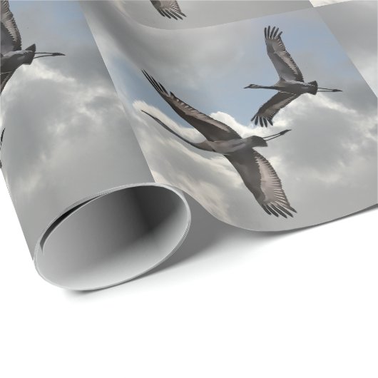SANDHILL CRANES CADEAUPAPIER (Rol Hoek)