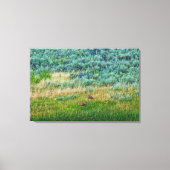 Sandhill Cranes Canvas Afdruk (Voorkant)