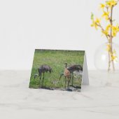 Sandhill Cranes Florida Birds Natuur Fotografie Kaart (Gele Bloem)