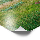 Sandhill Cranes Foto Afdruk (Hoek)