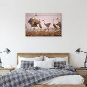 Sandhill Cranes Grus canadensis) Platte Canvas Afdruk (Insitu (Slaapkamer))