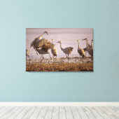 Sandhill Cranes Grus canadensis) Platte Canvas Afdruk (Insitu (Houten vloer))