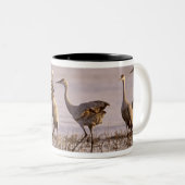 Sandhill Cranes Grus canadensis) Platte Tweekleurige Koffiemok (Voorkant rechts)