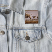 Sandhill Cranes Grus canadensis) Platte Vierkante Button 5,1 Cm (In situ)