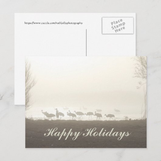 Sandhill Cranes in de Mist Prettige feestdagen (Voorkant / Achterkant)