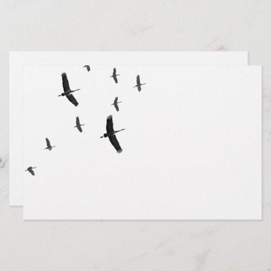 Sandhill Cranes in vlucht Briefpapier (Voorkant / Achterkant)