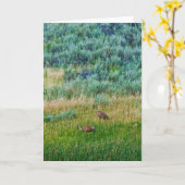 Sandhill Cranes Kaart (Gele Bloem)