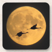 Sandhill Cranes | National Wildlife Reserve Bier Onderzetter (Voorkant)