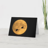 Sandhill Cranes | National Wildlife Reserve Kaart (Voorkant)