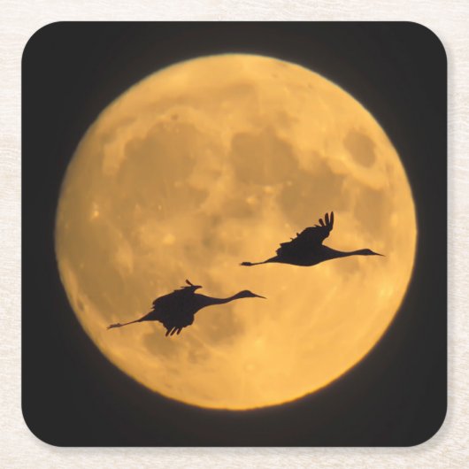 Sandhill Cranes | National Wildlife Reserve Kartonnen Onderzetters (Voorkant)