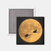 Sandhill Cranes | National Wildlife Reserve Magneet (Voorkant / Achterkant)