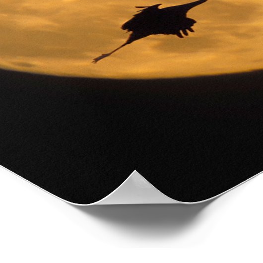 Sandhill Cranes | National Wildlife Reserve Poster (Hoek)