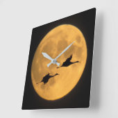 Sandhill Cranes | National Wildlife Reserve Vierkante Klok (Hoek)