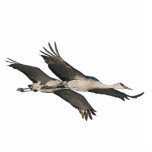 Sandhill Cranes Ornament Fotobeeldje Ornament<br><div class="desc">Cool Sandhill Cranes vliegen op deze kerstboom of Hanging Ornament.</div>