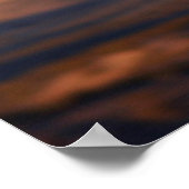 Sandhill Cranes 's ochtends Poster (Hoek)