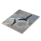 SANDHILL CRANES TEGELTJE (Zijkant)