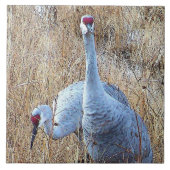 Sandhill Cranes Tile Tegeltje (Voorkant)