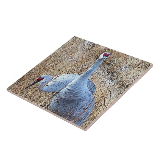 Sandhill Cranes Tile Tegeltje (Zijkant)